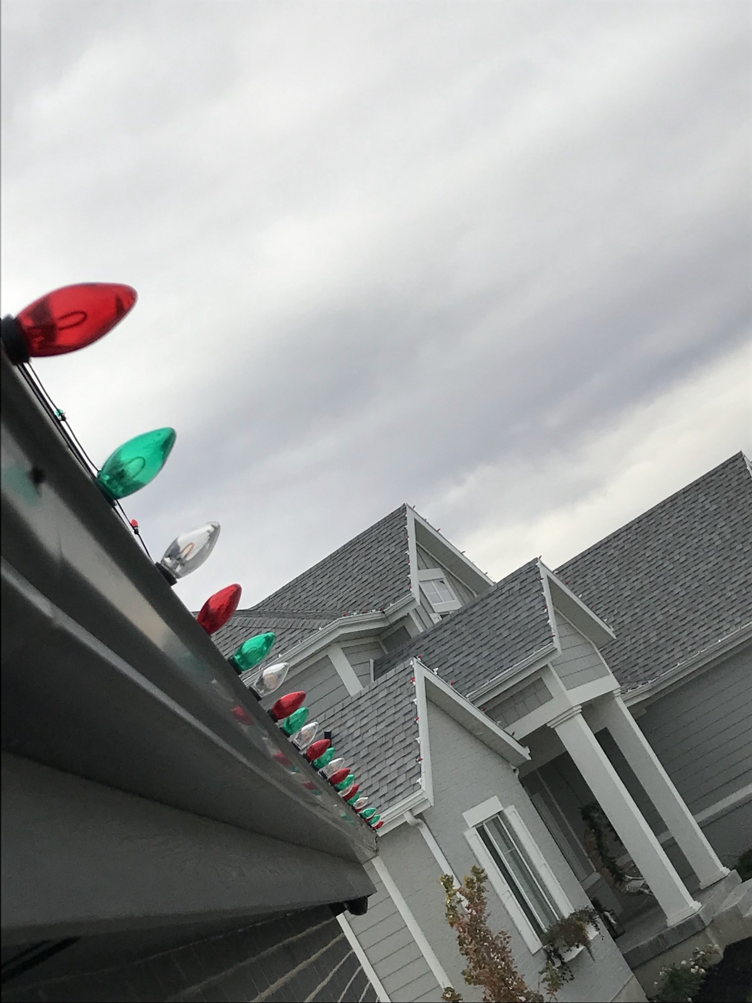 C9s along a gutter